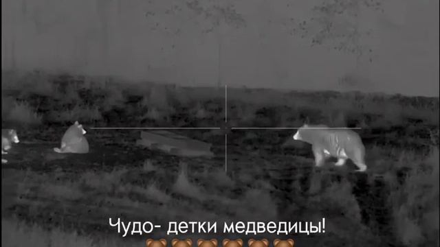 Счастливая мама!!! смотреть онлайн