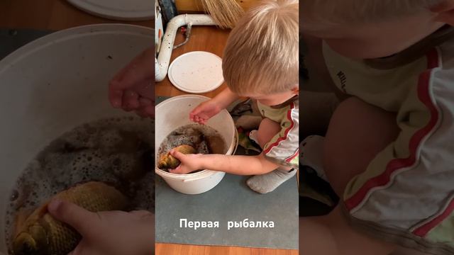 Рыбка, свежая! смотреть онлайн