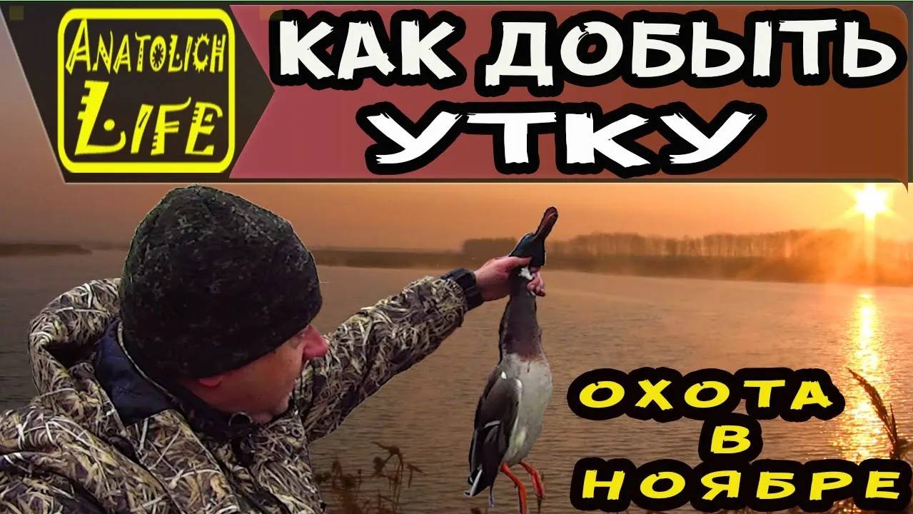 Как добыть утку! Охота . Северная утка, ты где_ смотреть онлайн