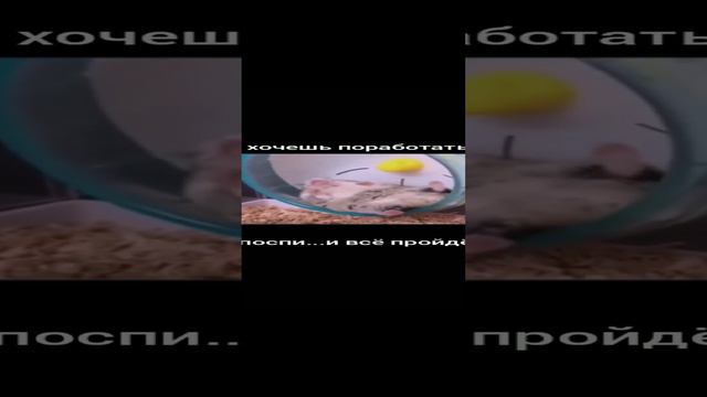 #Я и работа😆 смотреть онлайн