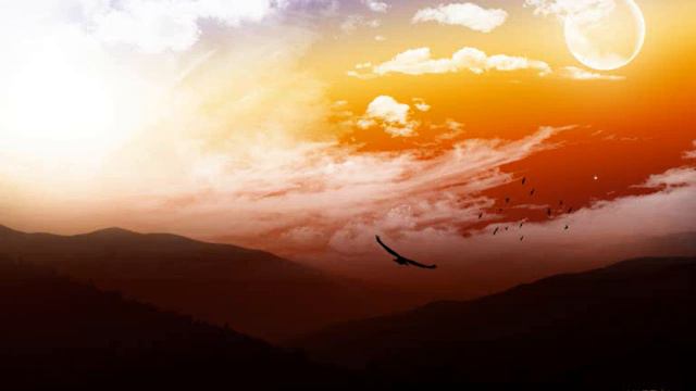 PP Music - Journey into Destiny смотреть онлайн