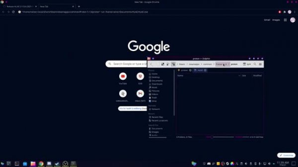 How to run HLAE on Linux