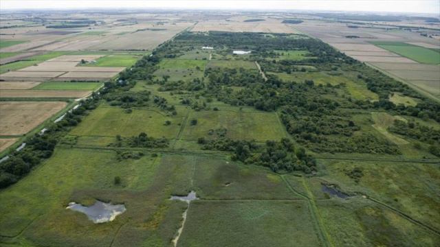 5th Variant of Dives and Lazarus by Ralph Vaughan Williams смотреть онлайн