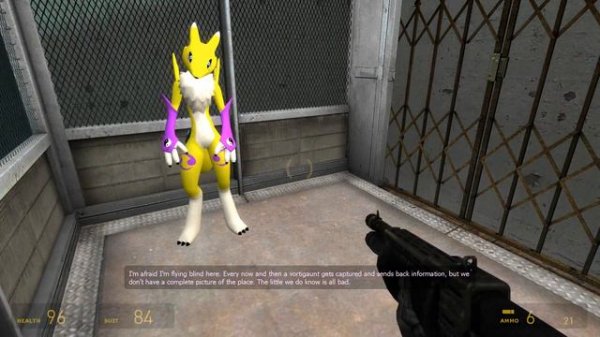 Half Life 2: Adventures With Renamon - 21