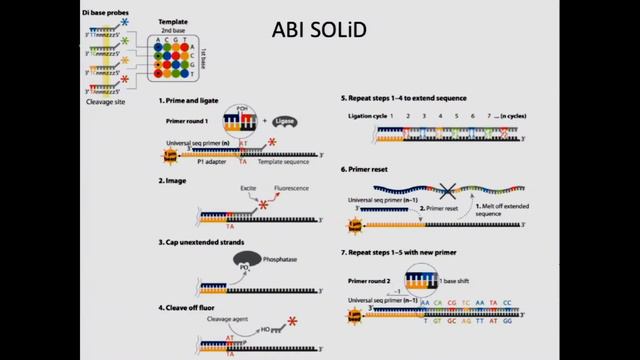 CCG 2015 Mackey 1 SequencingTechnologies SNPDiscoveryandVariation смотреть онлайн