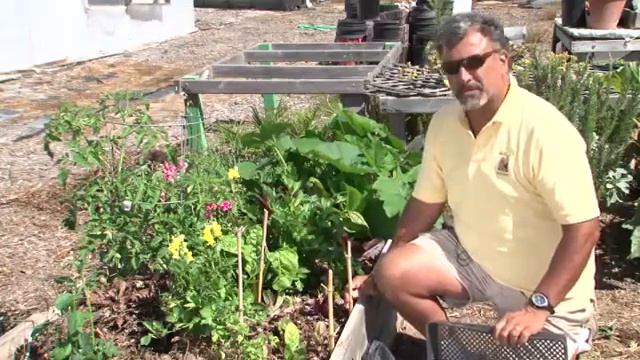 How to Make Sun Shade Covers for Vegetable Gardens смотреть онлайн