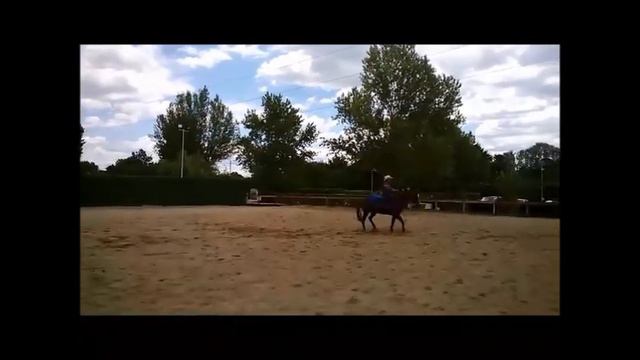 NICO FALCONE - Western Horsemanship CHAMPION!!!! смотреть онлайн