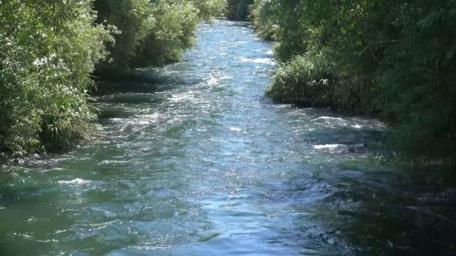 Laguna - Chris Spheeris & Paul Voudouris смотреть онлайн