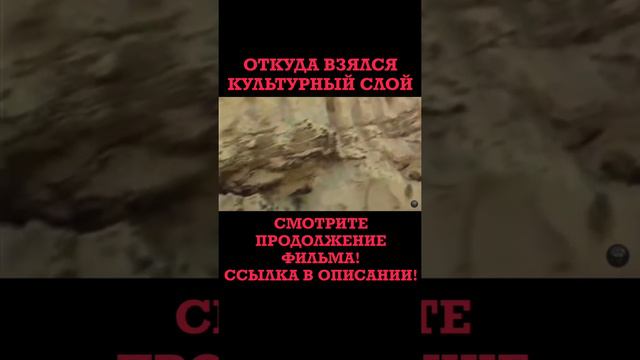 Не верь своим глазам, а слепо доверяй экспертам