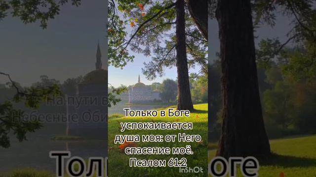 Доброе утро 💖 смотреть онлайн