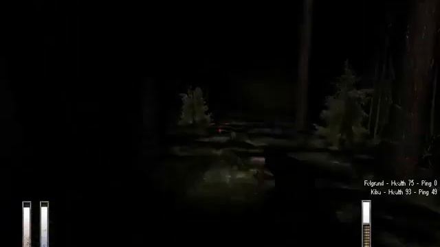Hidden Dark Blade & Felgrand Phoenix Play Cry of Fear Co op Part2: My face.... they ate my face!!! смотреть онлайн