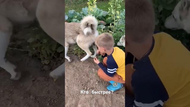 Соревнование на скорость смотреть онлайн
