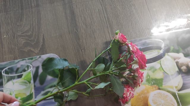 Роза. хочу такую!