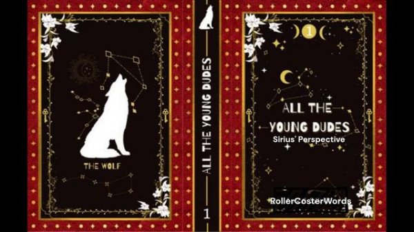 All The Young Dudes - Sirius's Perspective AUDIOBOOK CHAPTERS 30 - 32