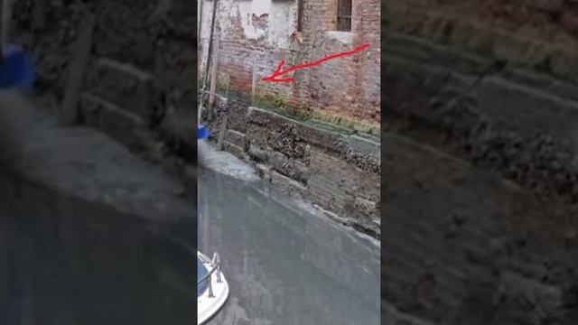 Каналы допотопной Венеции обмелели. Открылась интересная картина. #shorts смотреть онлайн