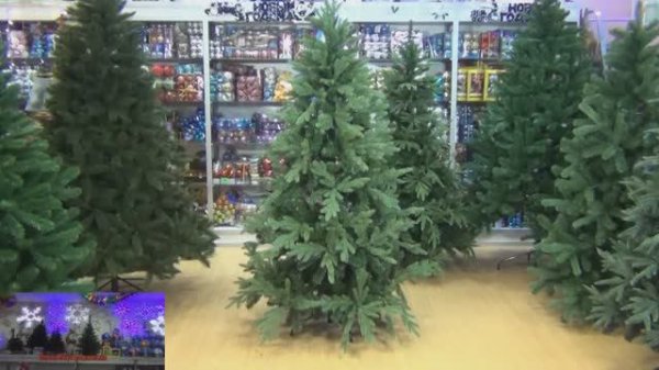 Green Trees Ель Valerio Premium, видеообзор