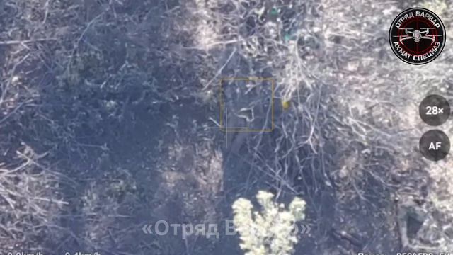 СВО 18+ Маленькая, дохлая подборка смотреть онлайн