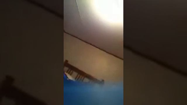 Destiny baby смотреть онлайн