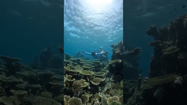 Мальдивы_промо_