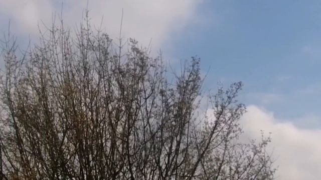 Всех с масленицей! Блины на кипятке! Ждём редиску! В пути посылка! смотреть онлайн