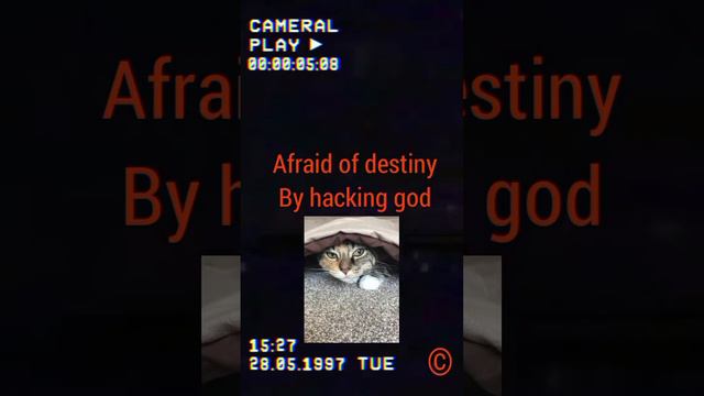 afraid of destiny смотреть онлайн