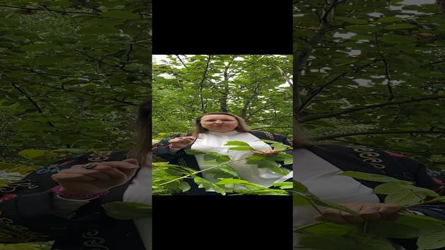 Лёгкие и яблоки = любовь на всю жизнь