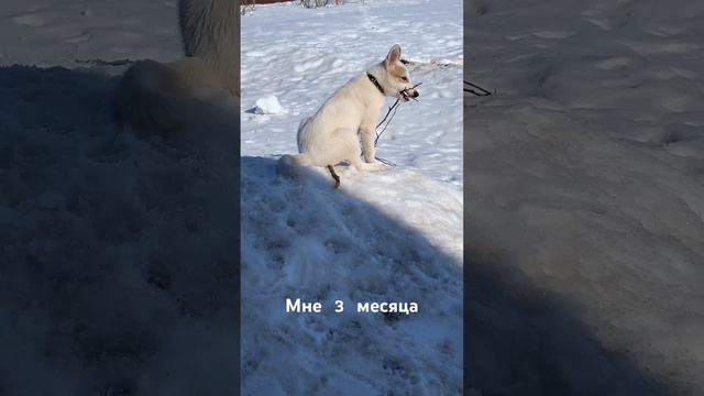 У меня свой дом! смотреть онлайн
