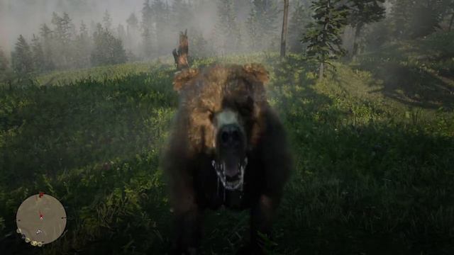 Red Dead Redemption 2 How to Get Perfect Grizzly Pelt смотреть онлайн