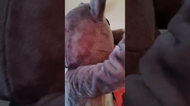 Как прошёл День знаний в СПбГЛТУ? Давайте вспомним каким ярким был первый день в стенах Лесотехниче смотреть онлайн