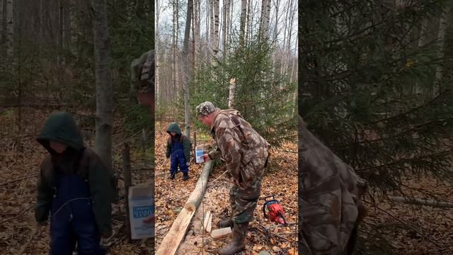 Солонцы для Зайцев готовы смотреть онлайн