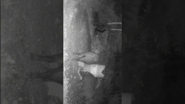 Ряды пополнились смотреть онлайн