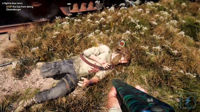 Far Cry 5 Single-Player Gameplay | 4K смотреть онлайн