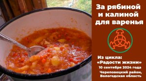 За рябиной и калиной.  "Радости жизни". 10 сентября 2024 года.