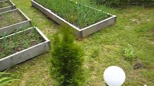 Прогулка по дачному участку смотреть онлайн