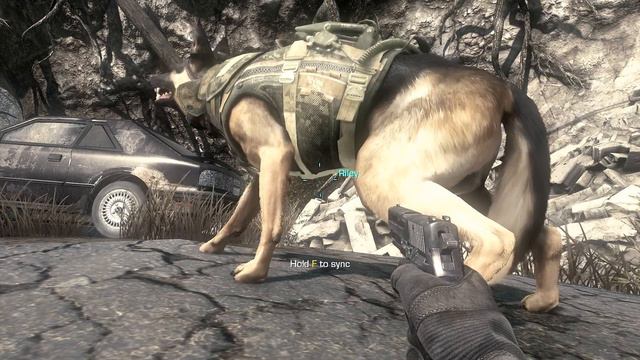 Call of Duty: Ghosts PC patch introduces more realistic dog fur смотреть онлайн