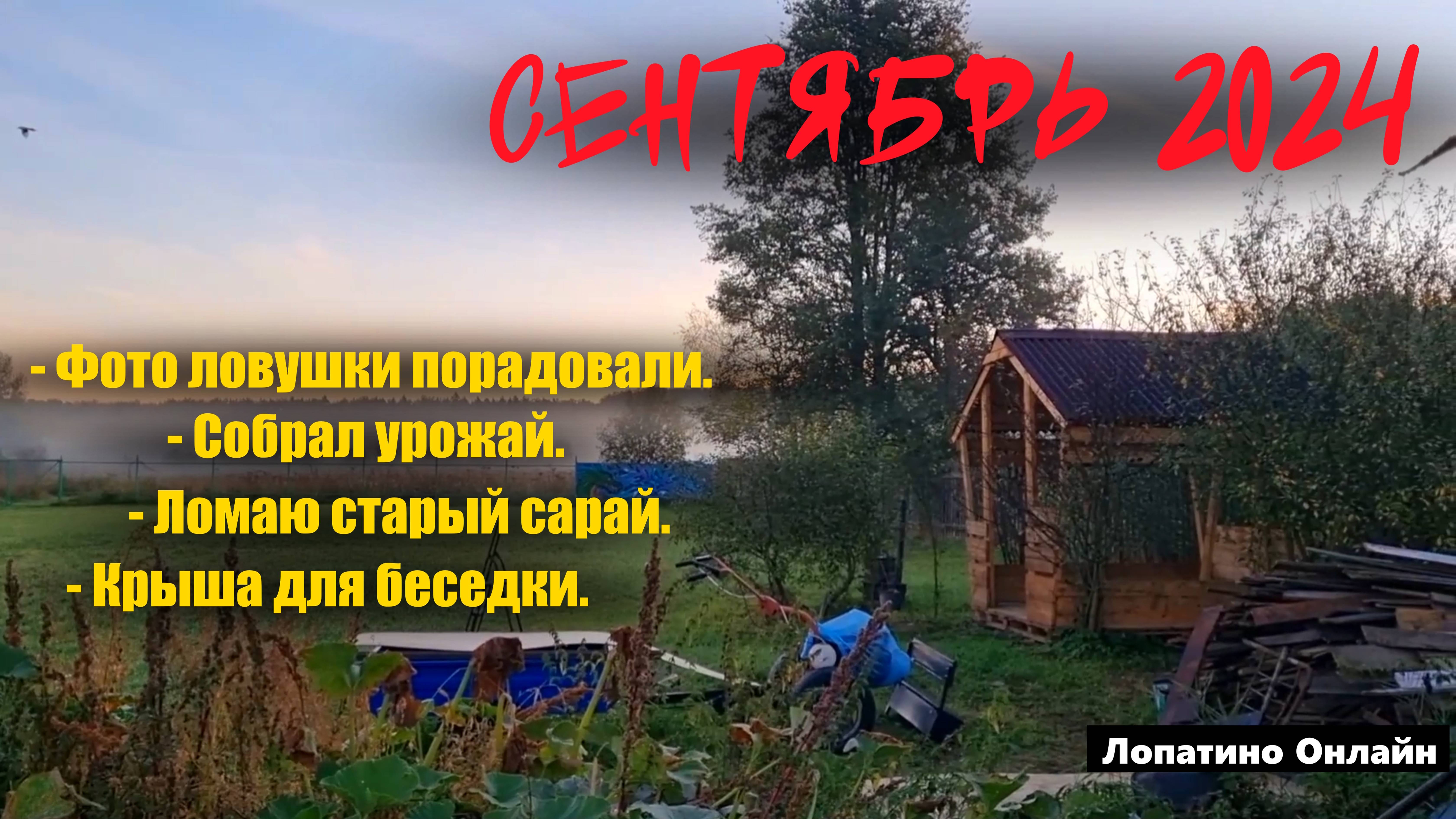 Осень будет длинной! / Влог сентябрь 2024.