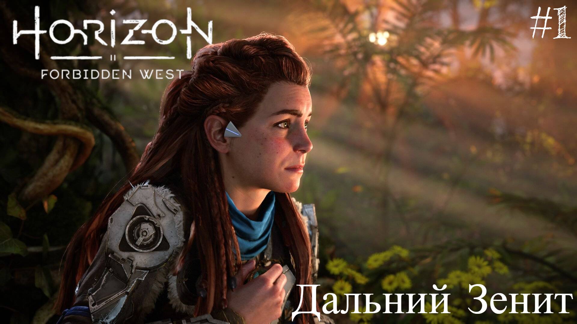 Horizon Forbidden West #1