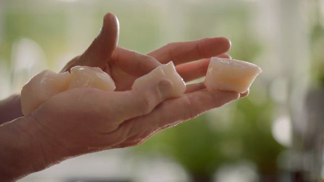 10. Mastering Ingredients Fish _ Shellfish смотреть онлайн