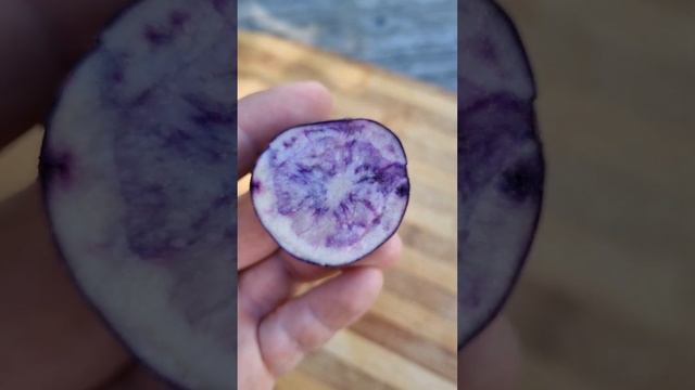 Вырастил фиолетовую картошку!