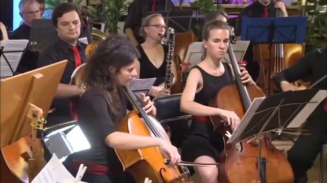 Camerata Carnuntum "Die Moldau" von Friedrich Smetana смотреть онлайн