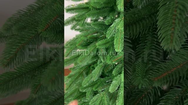 Ель литая Северная смотреть онлайн