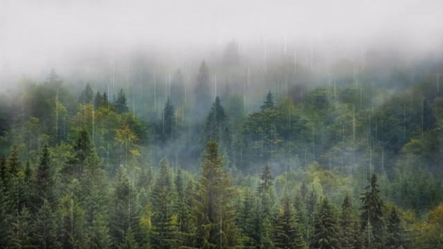 Richard Abel – Penso a te смотреть онлайн