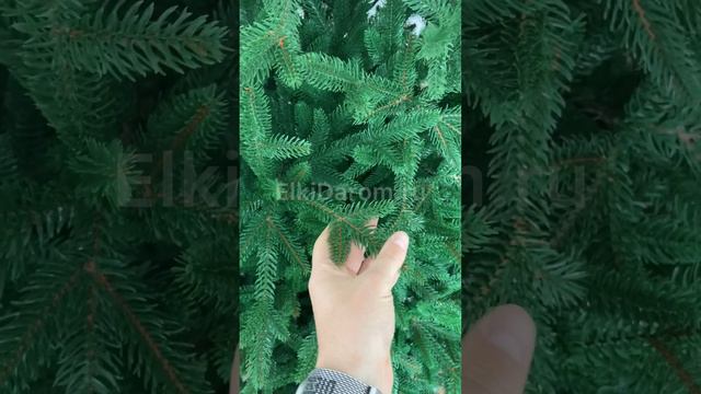 Ель литая Королевская вид1 смотреть онлайн