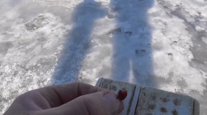 Я и Миша на РЫБАЛКЕ! Рыбачим на Оке! РЫБА ЕСТЬ, видели ВОДОЛАЗОВ.