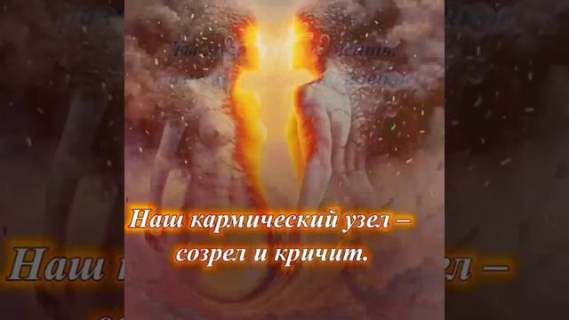 Хокку развязывающего