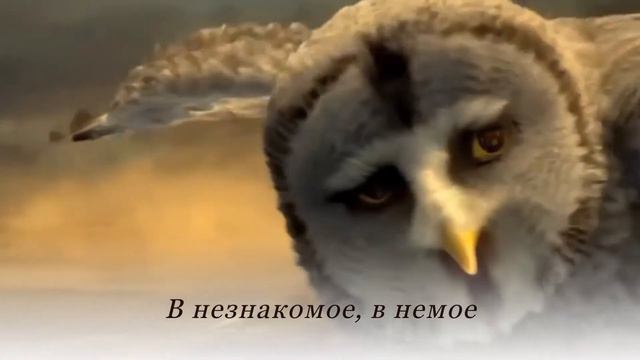 ВЕЧЕРКОМ смотреть онлайн