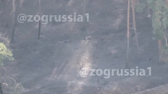 СВО 18+ Маленькая, дохлая подборка смотреть онлайн
