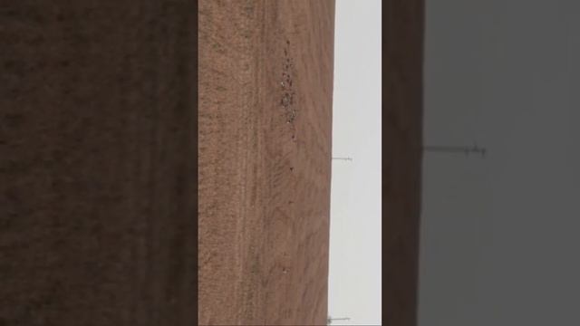 Гуси в поле смотреть онлайн