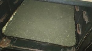 Прокаливаю землю в духовке. Огородные дела