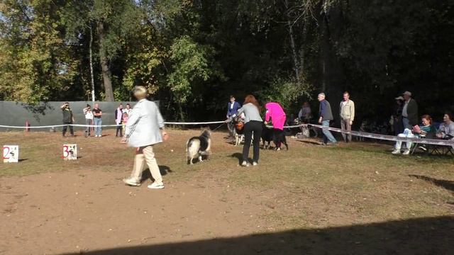 Сравнение на ЛПП смотреть онлайн